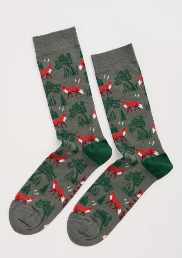 Seasalt Men's Arty Socks Dulas Fox Sorrel