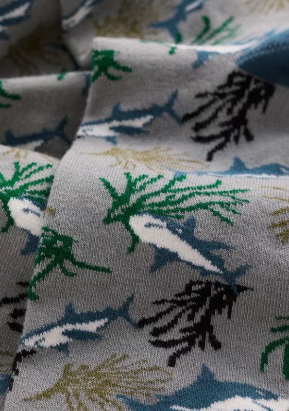Seasalt Men's Arty Socks Ontonna Cobble
