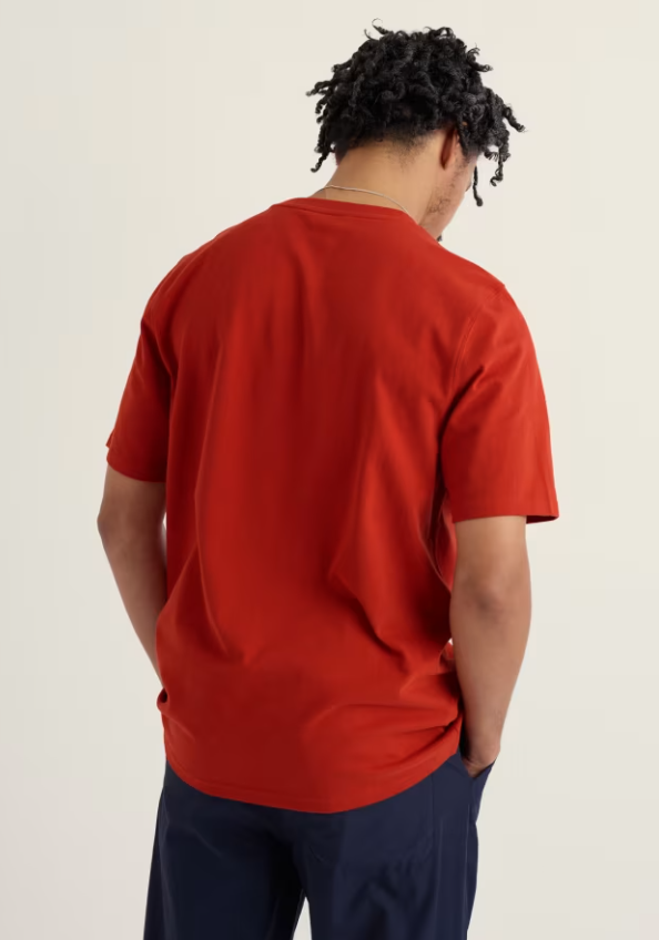 Seasalt Men's Merthen T-Shirt in Organic Cotton Jersey Cardinal