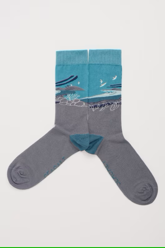 Seasalt Men's Postcard Socks Gulls Rock Peacock