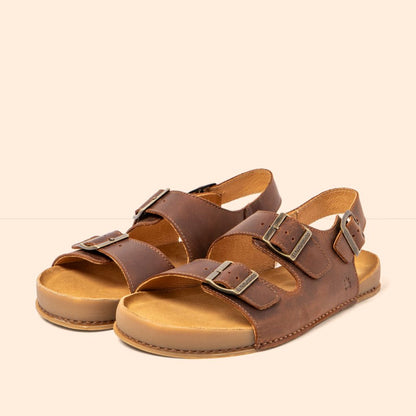 El Naturalista N6001 Arizona Terra Horizon