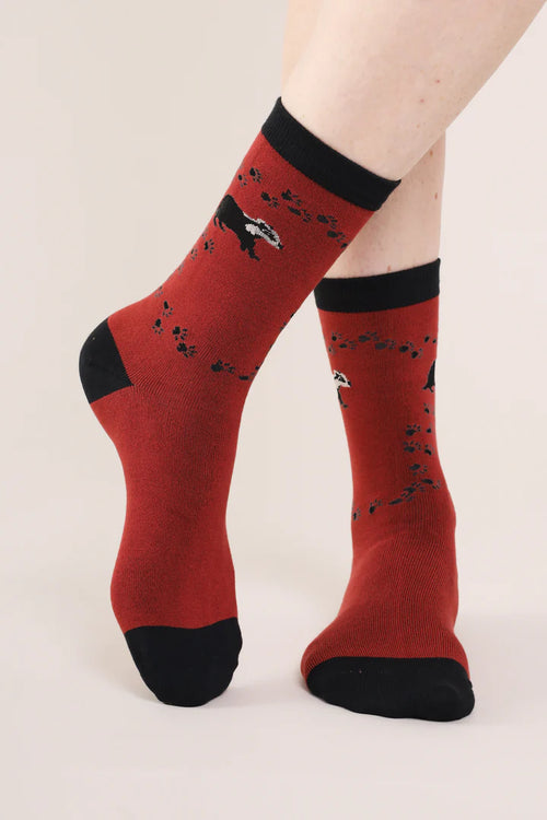 Nomads Badger Socks Brick