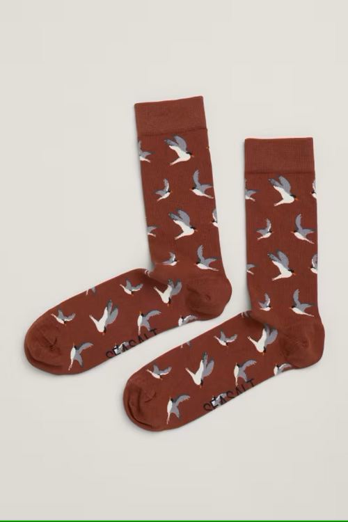 Seasalt Men's Arty Organic Cotton Socks Ebron Dark Acorn