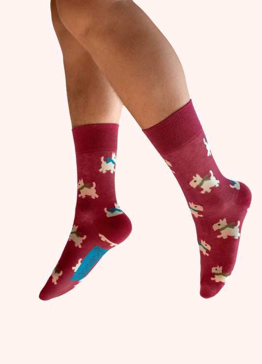 Powder Woolly Westie Men's Socks