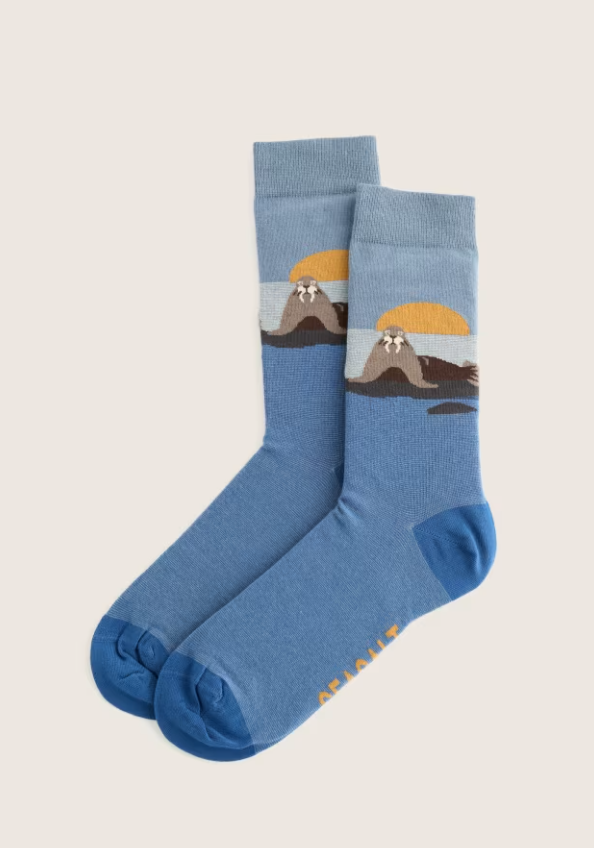 Seasalt Men's Arty Socks Zoze Point Squall