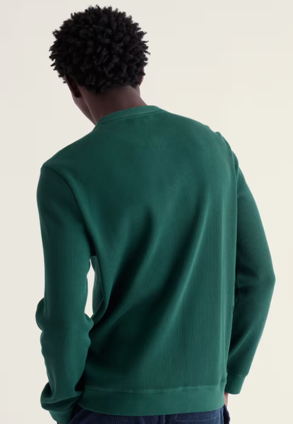 Seasalt Men's Brigantine Henley Top in Organic Cotton Thicket