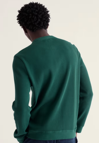 Seasalt Men's Brigantine Henley Top in Organic Cotton Thicket