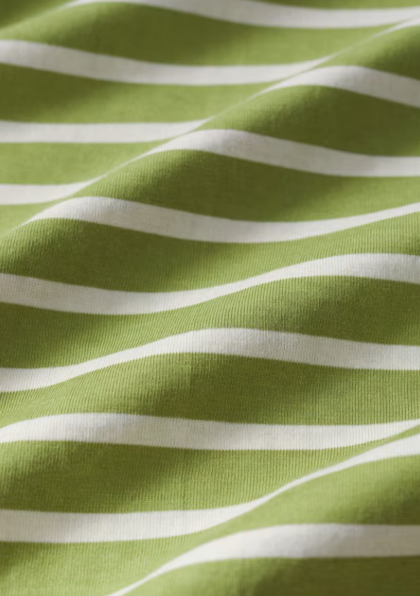 Seasalt Men's Crew Neck Sailor Shirt Breton Grasshopper