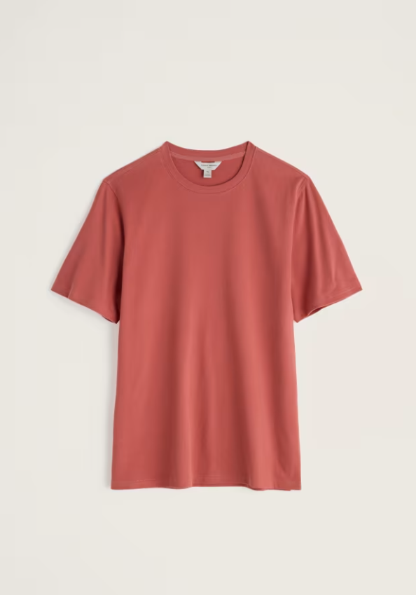 Seasalt Men's Merthen T-Shirt Dusty Copper