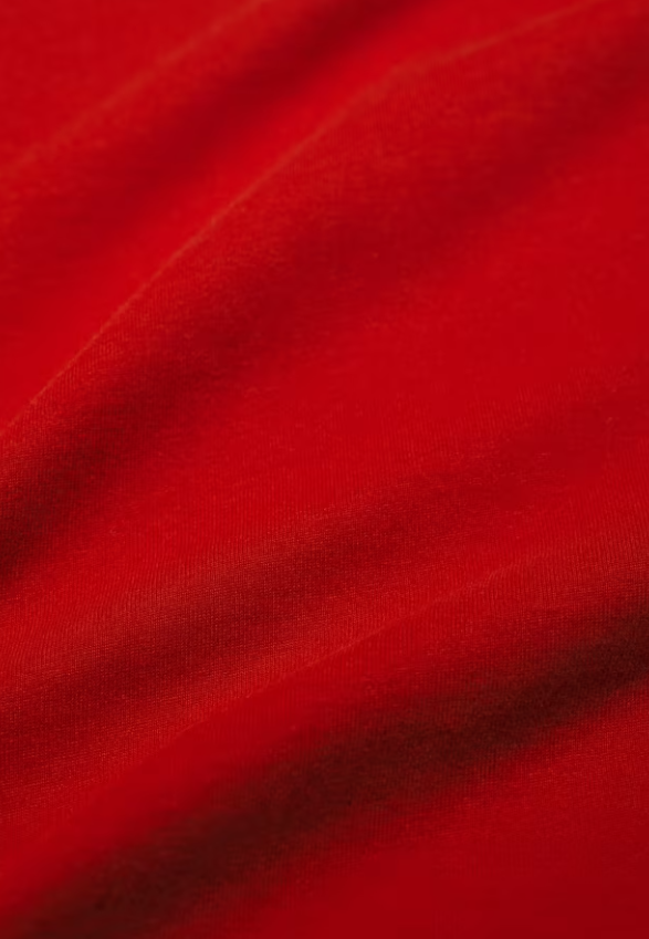Seasalt Men's Merthen T-Shirt in Organic Cotton Jersey Cardinal