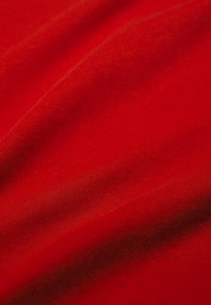 Seasalt Men's Merthen T-Shirt in Organic Cotton Jersey Cardinal