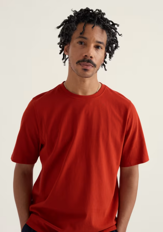 Seasalt Men's Merthen T-Shirt in Organic Cotton Jersey Cardinal
