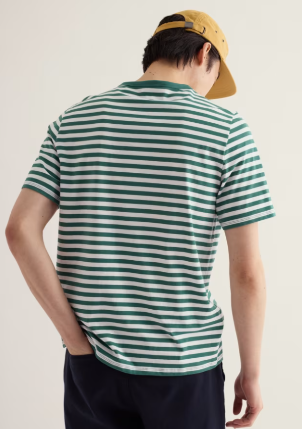 Seasalt Men's Seven Seas Sailor Tee Mini Cornish Ruscus Leaf