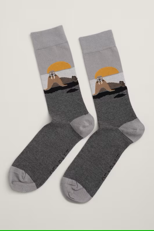 Men's Socks Seasalt Men's Arty Organic Cotton Socks Spirit Sail Steel Lightweight, organic cotton ankle socks