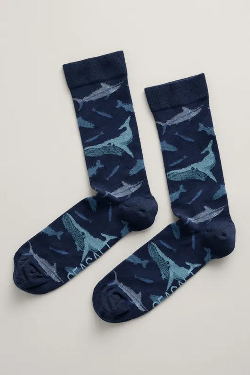 Seasalt Men's Arty Socks Pollow Pool Doyden Point Maritime