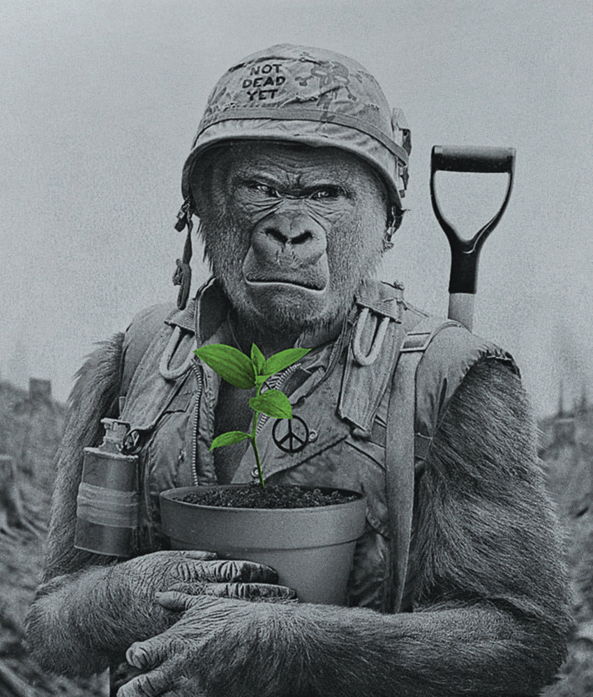 Dirty Velvet Gorilla Warfare T-shirt