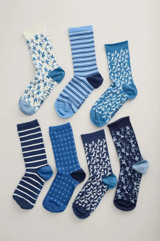Seasalt Box of 7 Women's Blueprint Socks Cliff Mist Mix